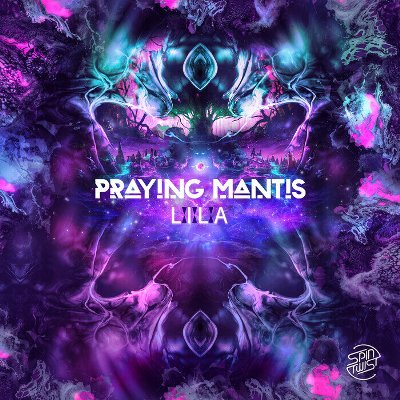 Praying Mantis – Lila