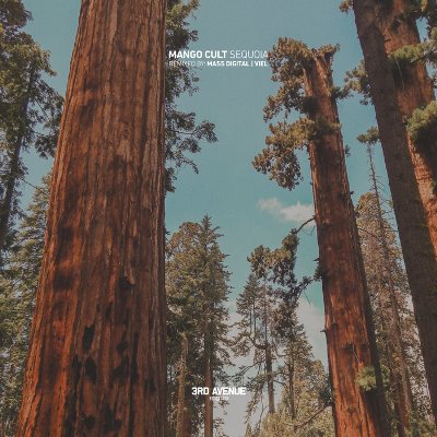 Mango Cult – Sequoia