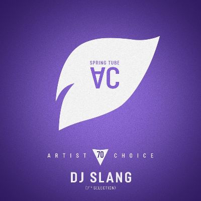 VA – Artist Choice 070: DJ Slang (7th Selection)