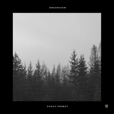 Organicum – Foggy Forest