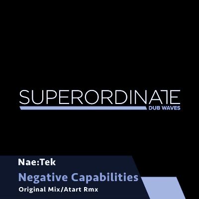 Nae:Tek – Negative Capabilities