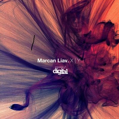 Marcan Liav – X | Y
