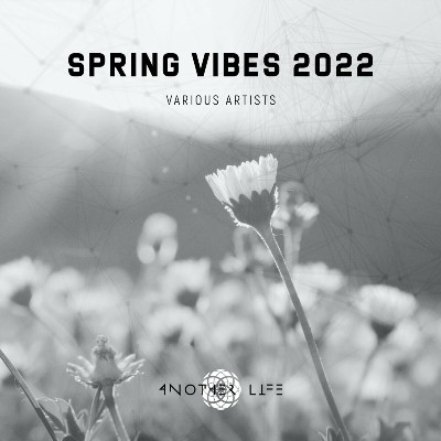 VA – Spring Vibes 2022