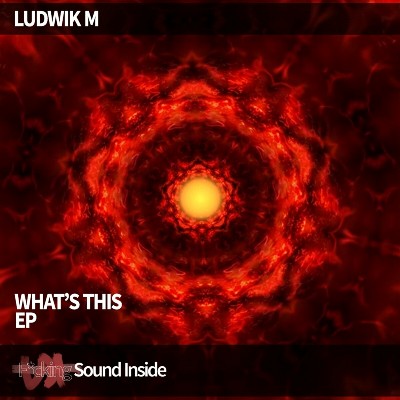 Ludwik M – WHAT’S THIS
