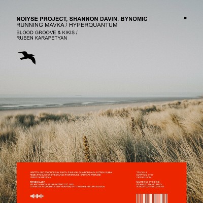NOIYSE PROJECT, Shannon Davin & Bynomic – Running Mavka / Hyperquantum