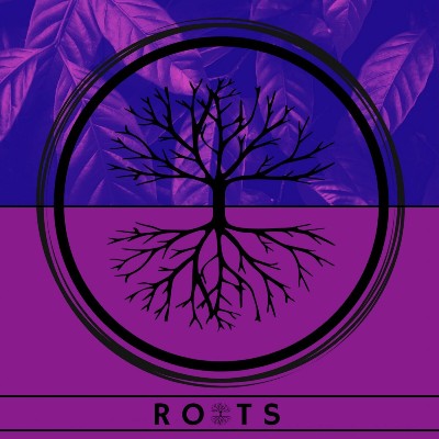 Dj Capitan – Roots