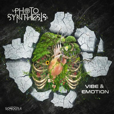 Photosynthesis – Vibe & Emotion