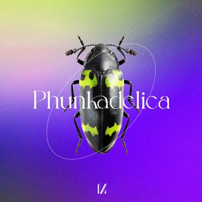 Phunkadelica – By The Power Of Grayskull