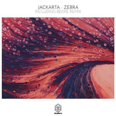 Jackarta – Zebra