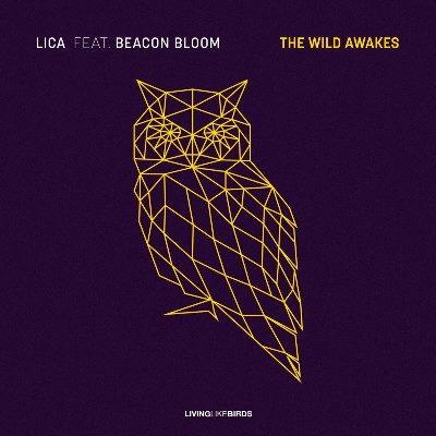 LICA – The Wild Awakes