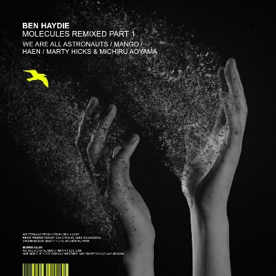 Ben Haydie – Molecules Remixed, Pt. 1