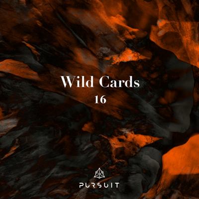 VA – Wild Cards 16