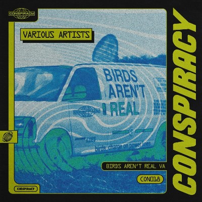 VA – Birds Aren’t Real