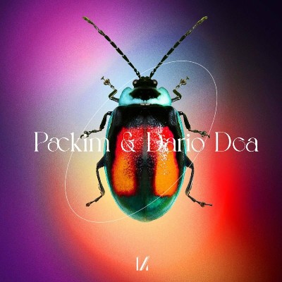 Packim & Dario Dea – Your Mind