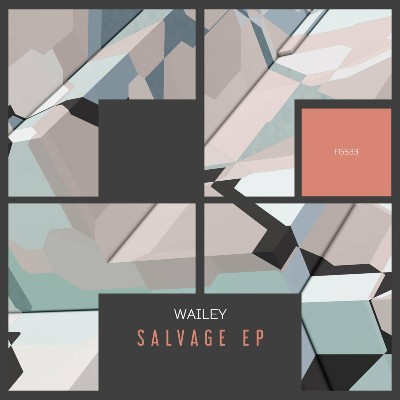 Wailey – Salvage EP