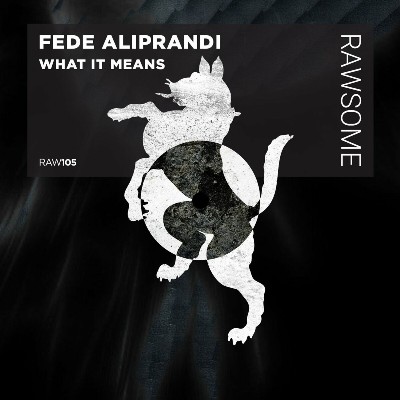 Fede Aliprandi – What It Means