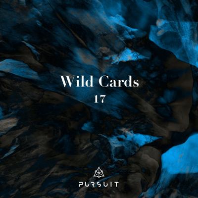 VA – Wild Cards 17