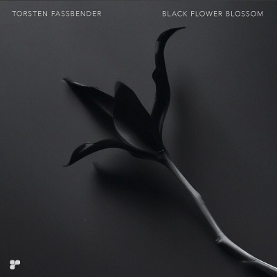 Torsten Fassbender – Black Flower Blossom