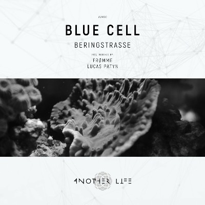 Blue Cell – Behringstrasse