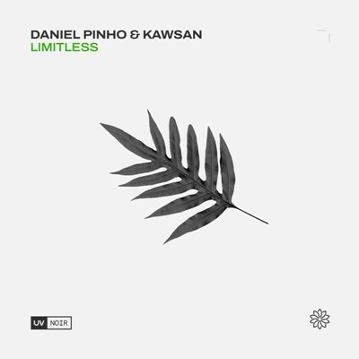 Daniel Pinho (US) & KAWSAN – Limitless