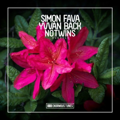 Simon Fava, Yvvan Back, Notwins – Suevelo