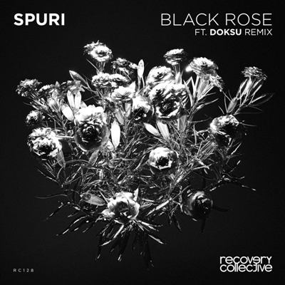 Spuri  – Black Rose