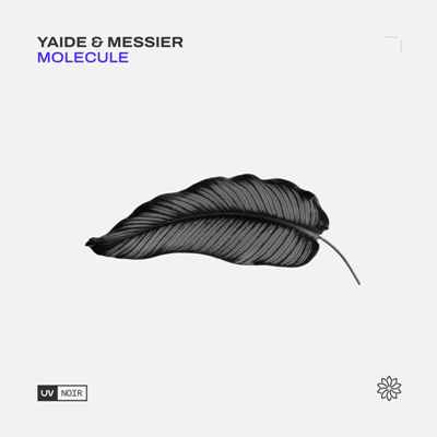 YAIDE & Messier – Molecule