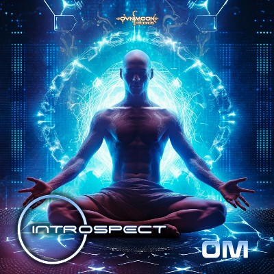Introspect – Om
