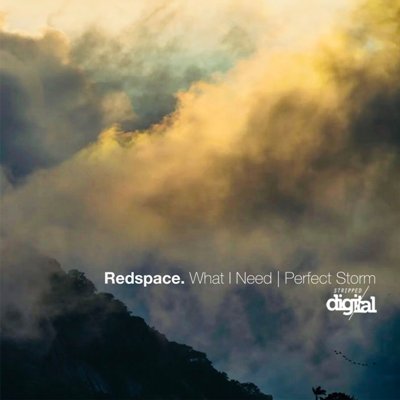 Redspace – What I Need / Perfect Storm