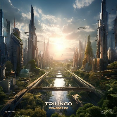 Trilingo – Concept