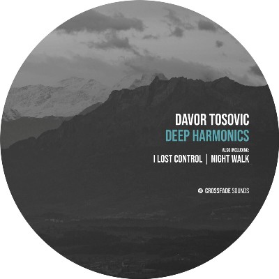 Davor Tosovic – Deep Harmonics