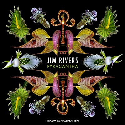 Jim Rivers – Pyracantha EP