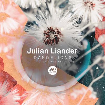 Julian Liander – Dandelions