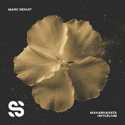 Marc Denuit – Mahabarata / Mycelium