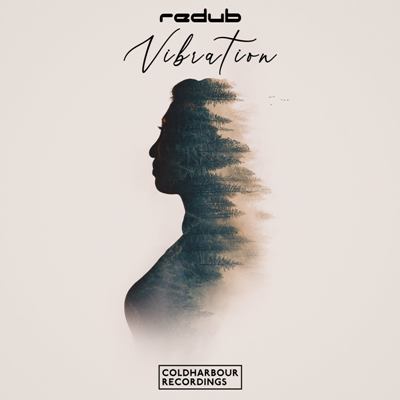 Redub – Vibration