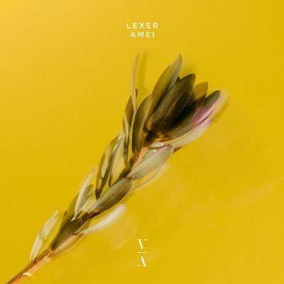 Lexer – Amei