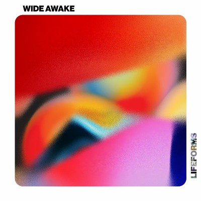 Tim Engelhardt, Jyll – Wide Awake