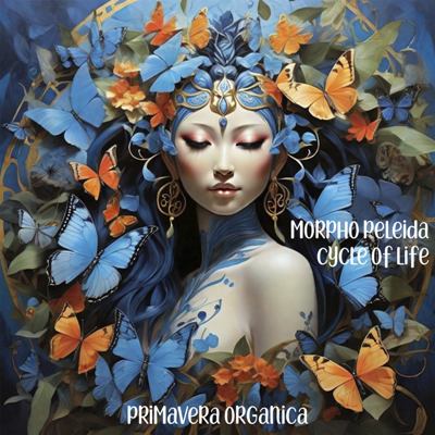 Morpho Peleida – Cycle of Life
